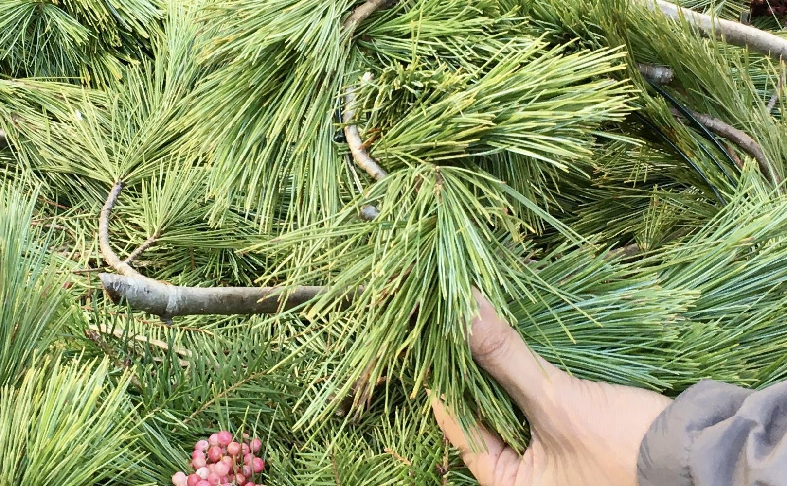 Salesforce Park Wreath Making.